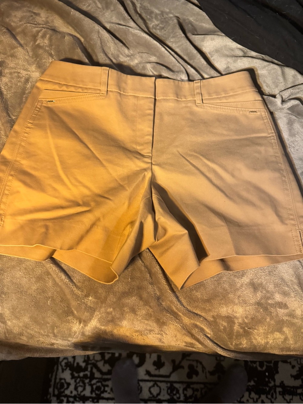 White House Black Market Women's High-Waist Tailored Shorts in Light Khaki